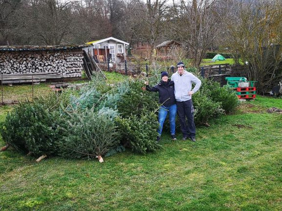 Einsammeln der Weihnachtsbäume in Löhnberg Selters – Tolle Aktion der Familie Jung